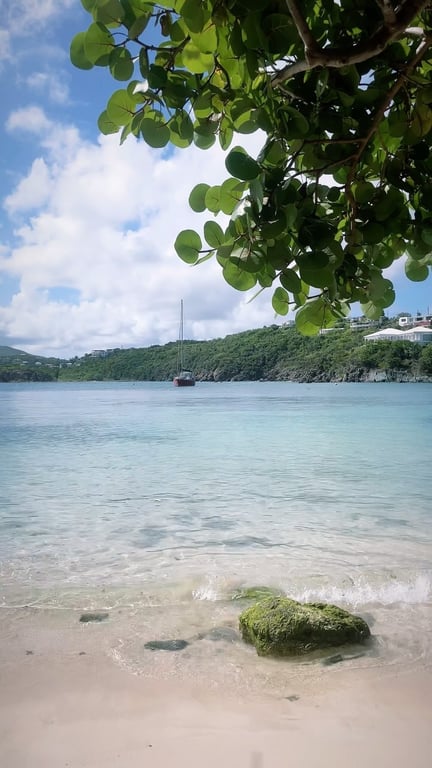 Photo of The Smoking Rooster in St. Thomas